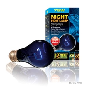 엑소테라 나이트히트 램프(야간보온램프)75w